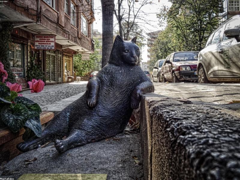 Travel insurance and protection service